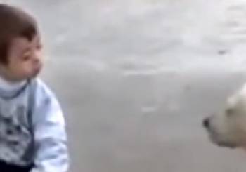 Ένα παιδί με σύνδρομο Down και το λαμπραντόρ του (βίντεο)