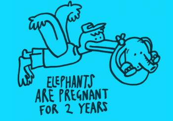 Εγκυμοσύνη και παράξενα επιστημονικά γεγονότα