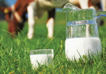 Ύποπτο το αγελαδινό γάλα για τις παιδικές αλλεργίες